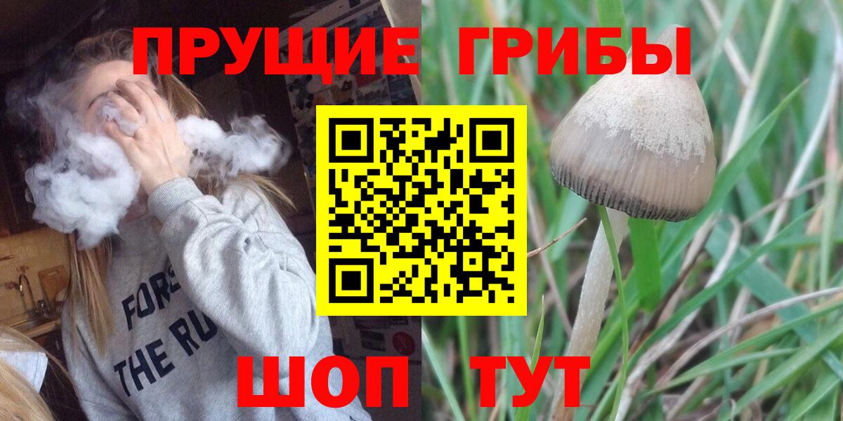 Псилоцибиновые грибы Magic Shrooms Канаш