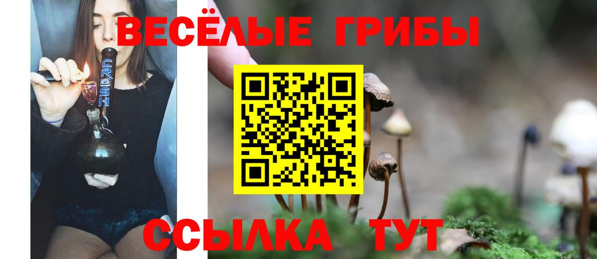Псилоцибиновые грибы прущие грибы  Вход с VPN  Псилоцибиновые грибы Psilocybine cubensis  Канаш 